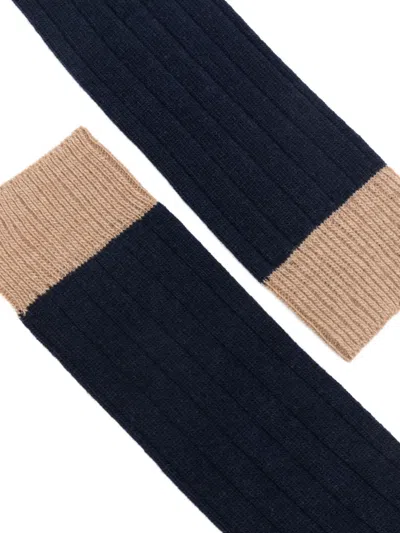 In The Box Ribbed Socks In Blue