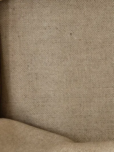 Pre-owned Celine Cabas Thais Triomphe Printed Canvas Small Tote Bag In Brown