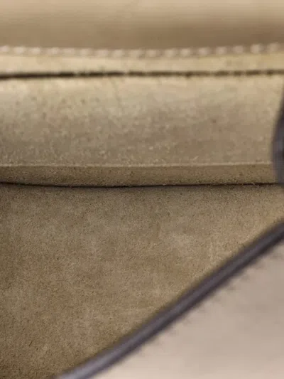 Pre-owned Chloé Nile Leather Small Crossbody Bag In Gray