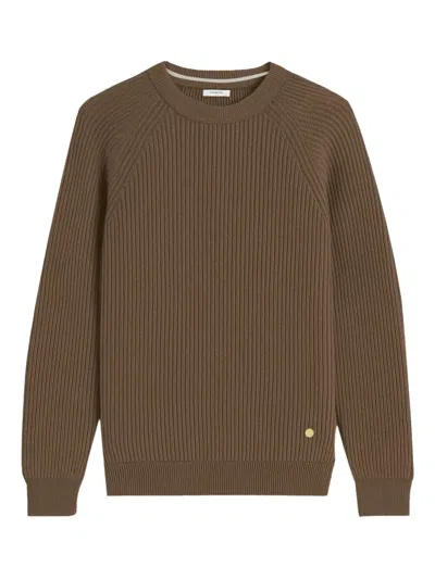 Greyed Ribbed Sweater In Brown