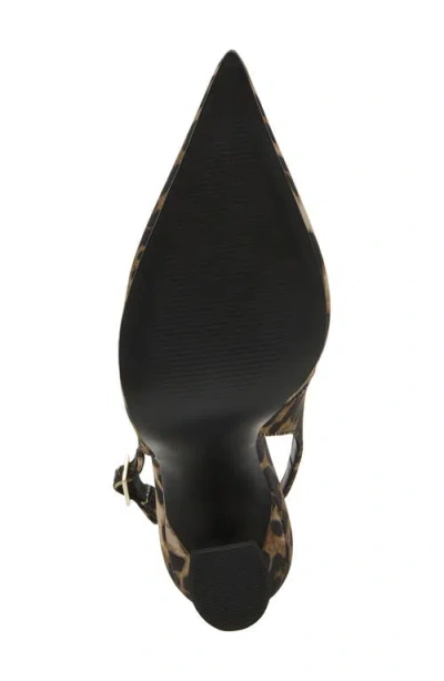 Steve Madden Blare Slingback Pointed Toe Pump In Brown