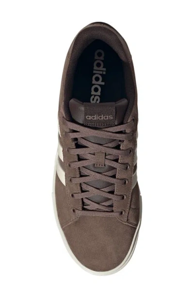 Adidas Originals Adidas Daily 4.0 Sneaker In Multi