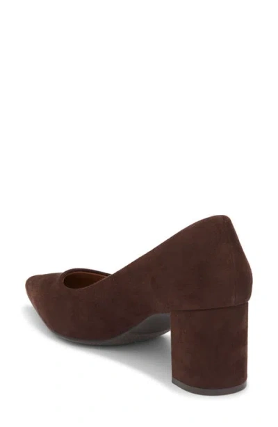 Nordstrom Rack Sammy Pointed Toe Pump In Brown