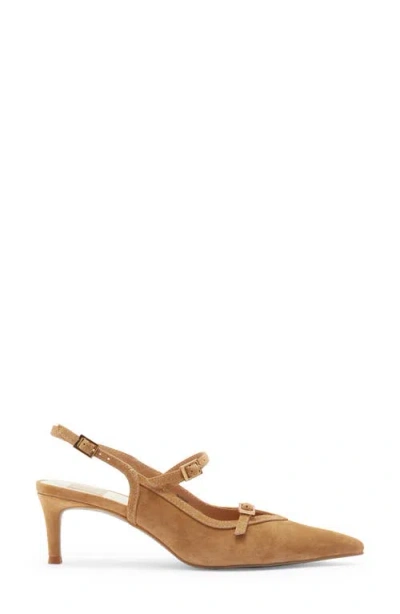 Dolce Vita Kishan Pointed Toe Slingback Pump In Brown