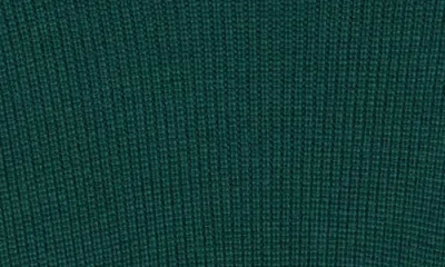 Eileen Fisher Turtleneck Organic Cotton Tunic Sweater In Green