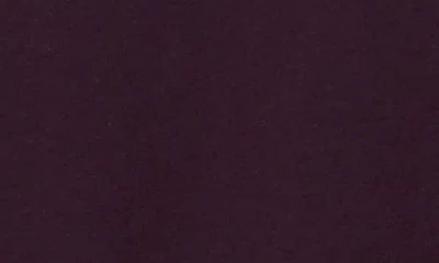 Eileen Fisher Organic Pima Cotton Jersey Long-sleeve Tee In Purple