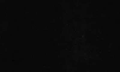 Theory Stretch Velour T-shirt In Animal Print