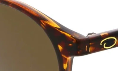 Oscar De La Renta 48mm Round Sunglasses In Brown