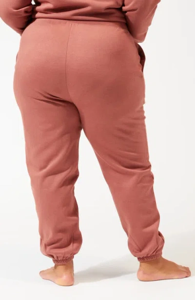 Threads 4 Thought Invincible Fleece Jogger In Brown