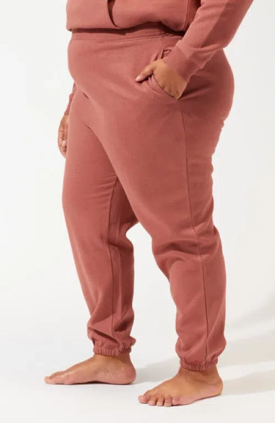 Threads 4 Thought Invincible Fleece Jogger In Brown