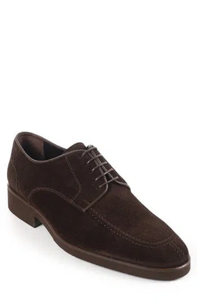 Vellapais Moxy Derby In Brown