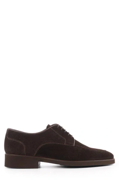 Vellapais Moxy Derby In Brown