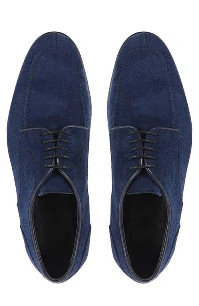 Vellapais Moxy Derby In Blue