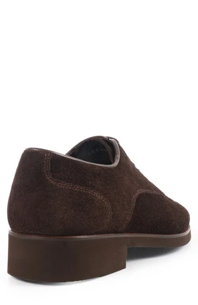 Vellapais Moxy Derby In Brown