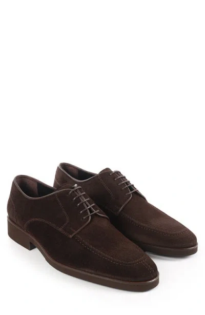 Vellapais Moxy Derby In Brown