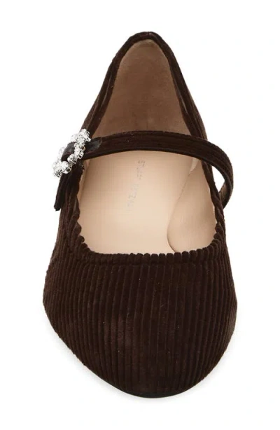 Stuart Weitzman Aura May Jane Flat In Brown