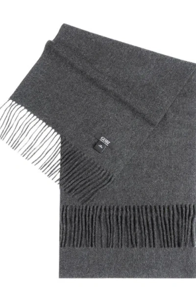 Gobi Mongolian Cashmere Cashmere Fringed Scarf In Gray