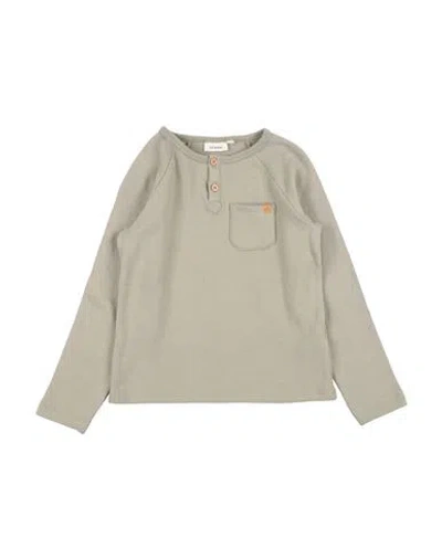 Lil' Atelier Toddler Boy Sweater Sage Green Size 6 Organic Cotton In Neutral