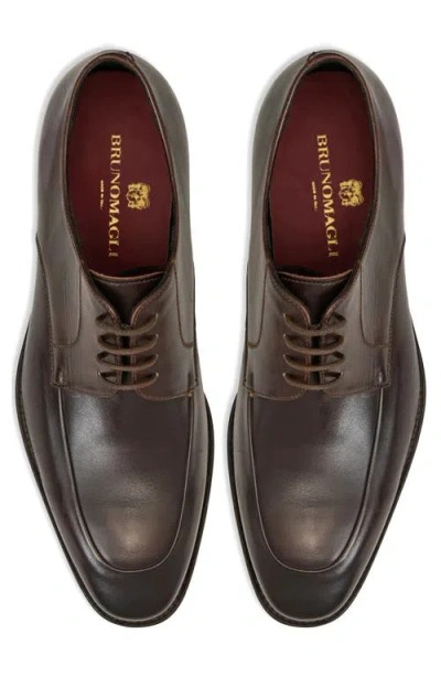 Bruno Magli Bresso Derby In Multi