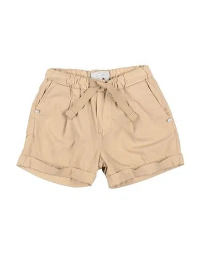 Entre Amis Toddler Boy Shorts & Bermuda Shorts Beige Size 6 Cotton, Polyamide, Elastane In Brown