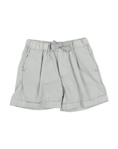 Entre Amis Toddler Boy Shorts & Bermuda Shorts Light Grey Size 6 Cotton, Polyamide, Elastane In Gray
