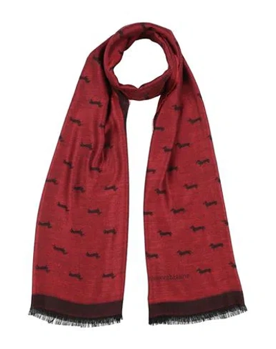 Harmont & Blaine Man Scarf Red Size - Viscose, Polyester In Burgundy