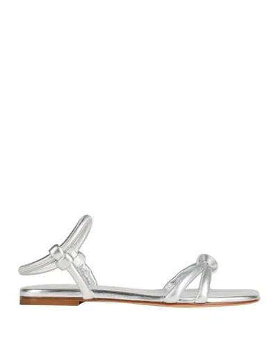 Gianvito Rossi Woman Sandals Silver Size 6.5 Leather In Silver