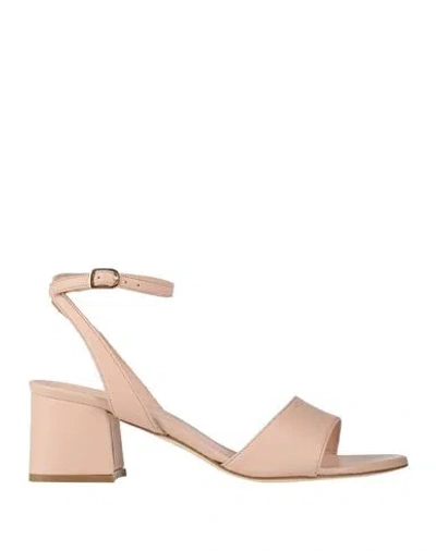 Bervicato Woman Sandals Blush Size 8 Leather In Multi