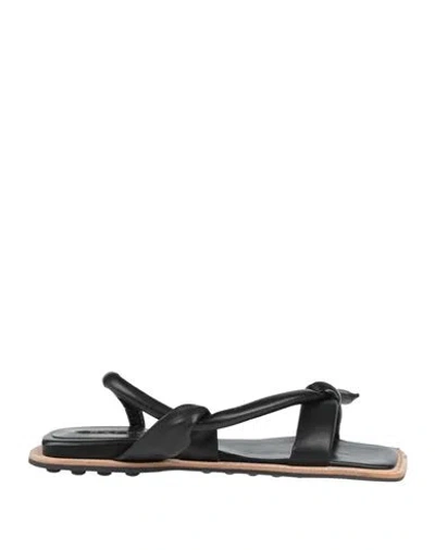 Malloni Woman Sandals Black Size 6 Leather In Multi