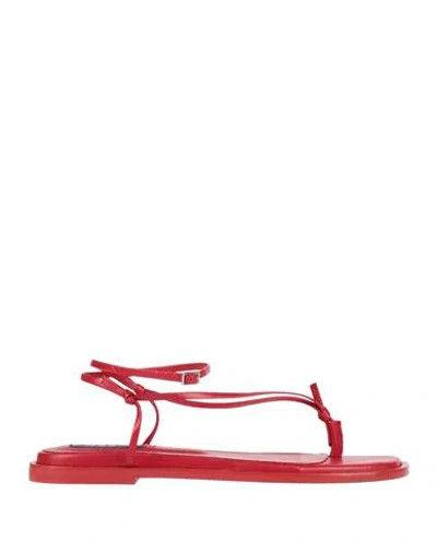 Msgm Woman Thong Sandal Red Size 7 Leather In Red