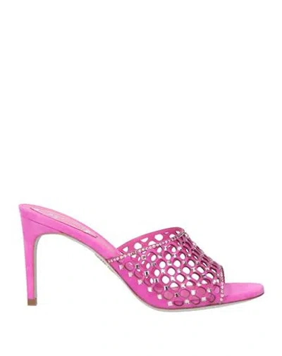 René Caovilla Rene' Caovilla Woman Sandals Magenta Size 8 Leather In Purple