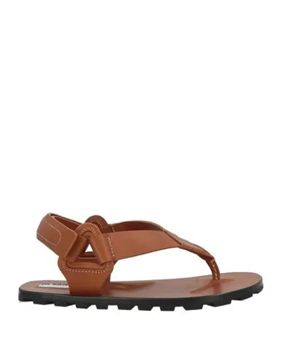 Jil Sander + Woman Thong Sandal Brown Size 8 Leather In Brown