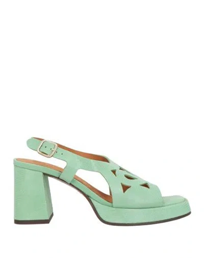 Chie Mihara Woman Sandals Light Green Size 7 Leather In Green