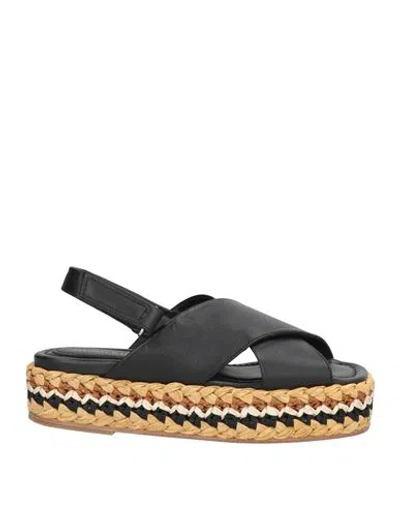 Paloma Barceló Woman Sandals Black Size 7 Calfskin, Natural Raffia In Black