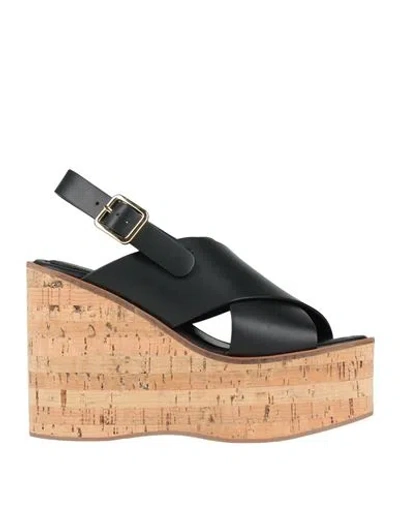 Paloma Barceló Woman Sandals Black Size 8 Cow Leather In Black