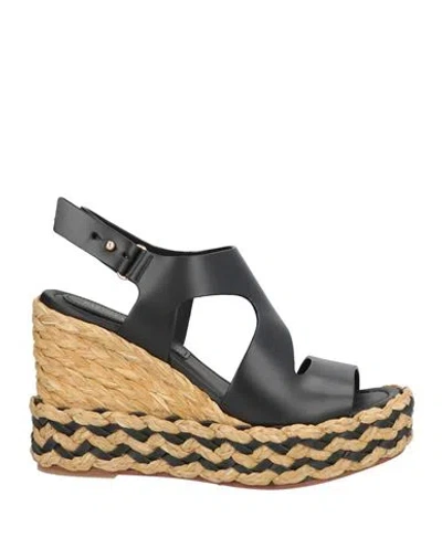 Paloma Barceló Woman Sandals Black Size 8 Cow Leather In Black