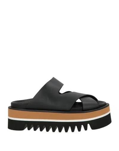 Paloma Barceló Woman Sandals Black Size 8 Cow Leather In Black