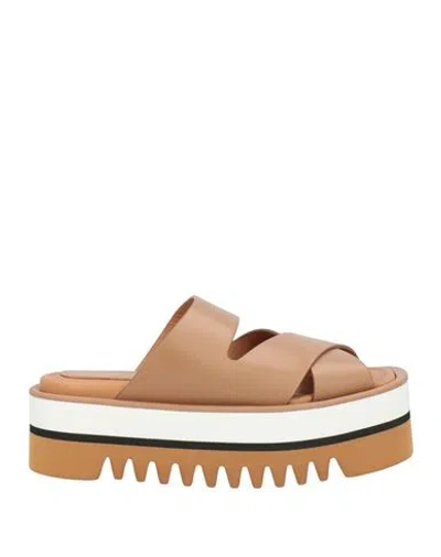 Paloma Barceló Woman Sandals Camel Size 8 Cow Leather In Multi