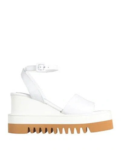 Paloma Barceló Woman Sandals White Size 10 Calfskin In White