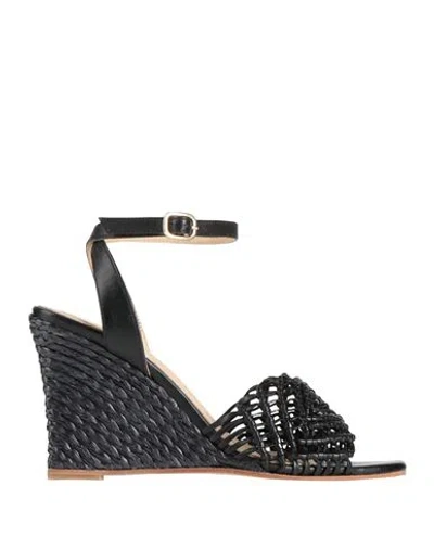 Paloma Barceló Woman Sandals Black Size 7 Leather In Black