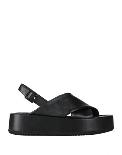 Paloma Barceló Woman Sandals Black Size 8 Calfskin In Animal Print