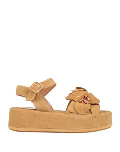 Paloma Barceló Woman Sandals Mustard Size 7 Leather In Multi