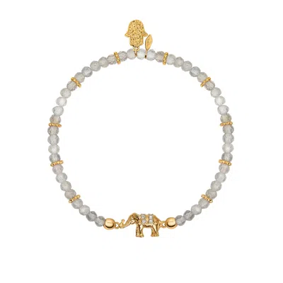 Karma And Luck Women's Grey / Neutrals Mind Nourisher Labradorite Elephant Charm Bracelet In Gold