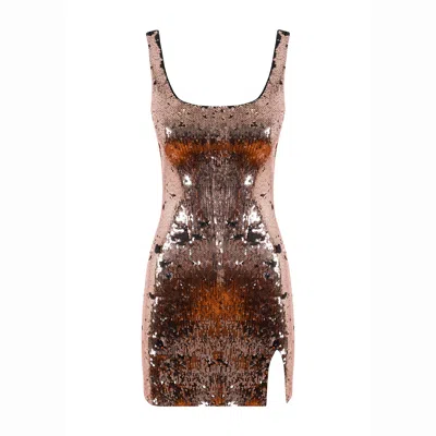 The Molc Women's Brown / Black Bronze Ophelia Dress In Multi