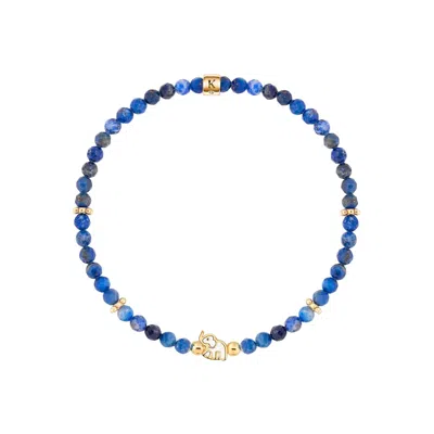 Karma And Luck Women's Blue Gentle Strength Lapis Lazuli Elephant Charm Bracelet In Blue