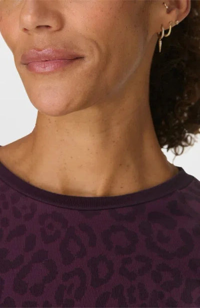 Sweaty Betty Animal Base Layer Top In Multi