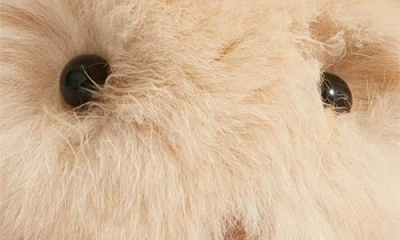 Bp. Plush Bunny Bag Charm In Brown