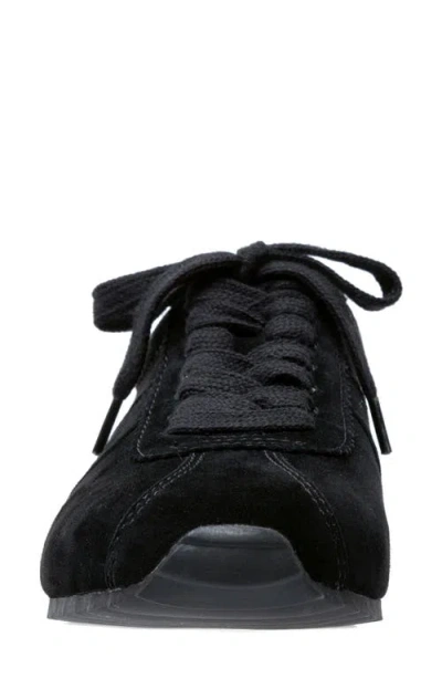 Linea Paolo Kova Sneaker In Black