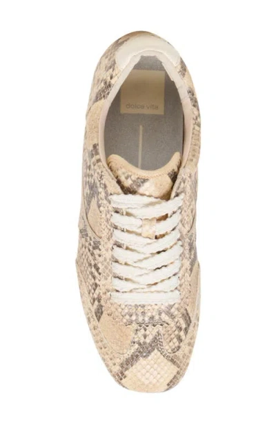 Dolce Vita Women's Dorie Low Profile Lace-up Sneakers In Neutral