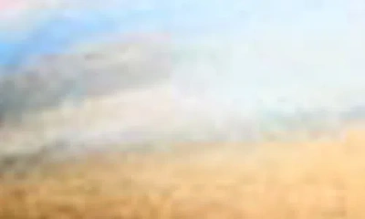 Vitamin A ® Terra Beaded Triangle Bikini Top In Multi